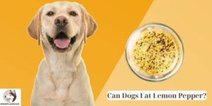 Can Dogs Eat Lemon Pepper