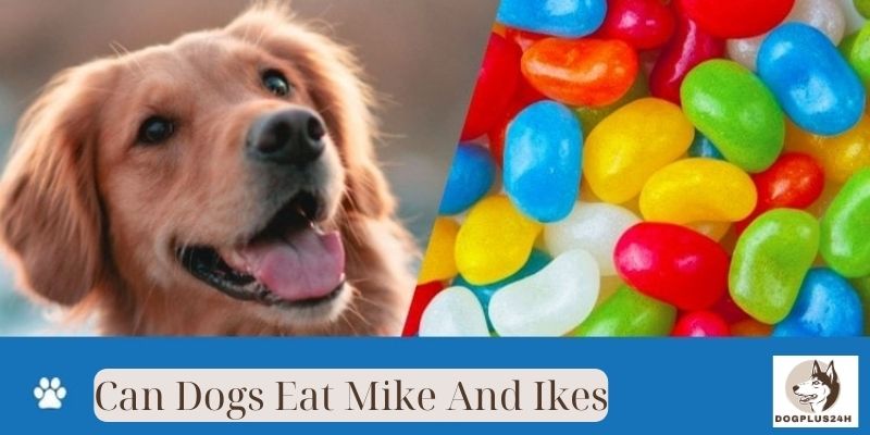 Can Dogs Eat Mike And Ikes