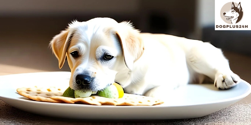 What are the benefits of feeding your dog Matzo balls?