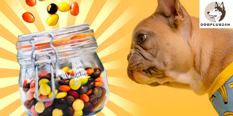 What are the dangers of dogs eating Reese's pieces?