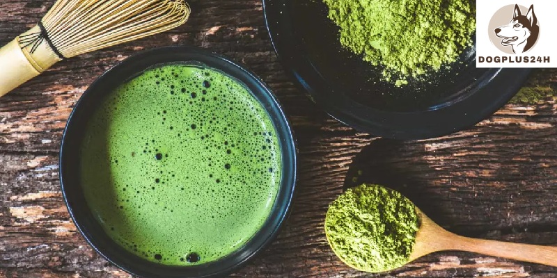 What is a matcha? 