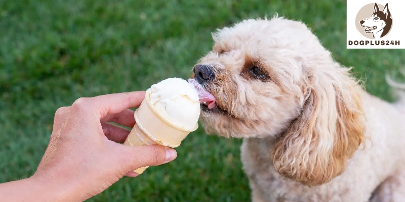 Can dogs eat butter pecan ice cream?