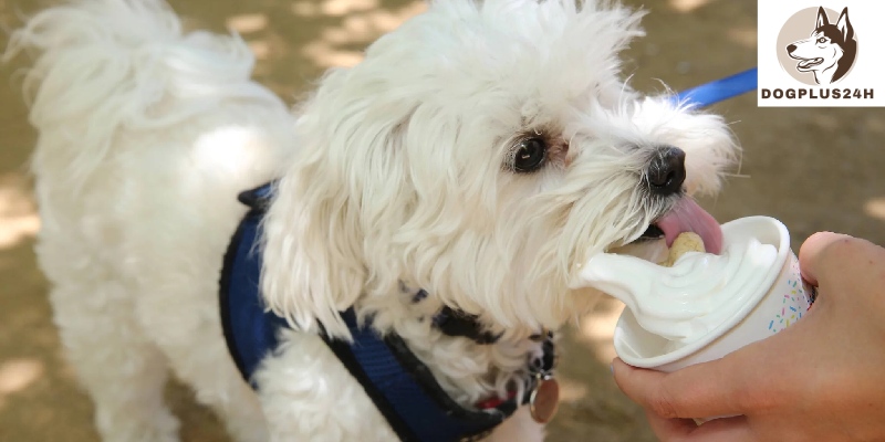 What ingredients do butter pecan ice cream contain that are harmful to dogs?