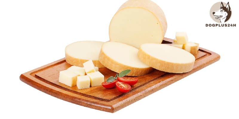 What is provolone cheese? 