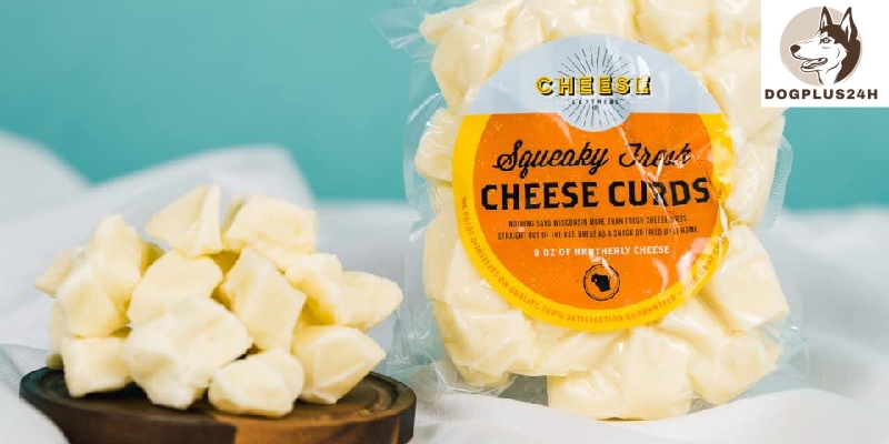 Are there any types of cheese that are toxic to dogs?