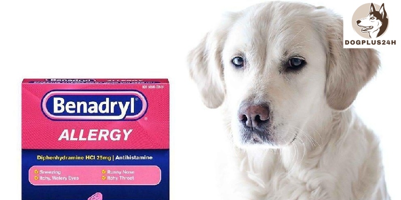 Lethal dose of Benadryl for dogs?