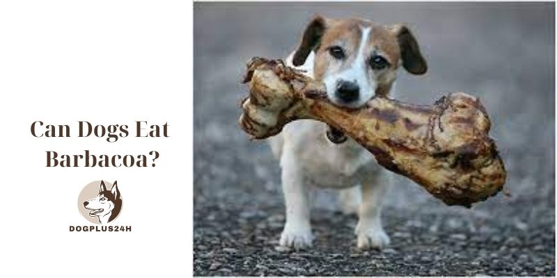 Can Dogs Eat Barbacoa