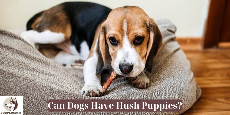 Can Dogs Have Hush Puppies