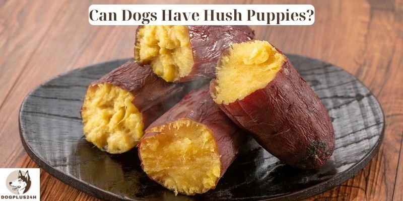 Can Dogs Have Hush Puppies
