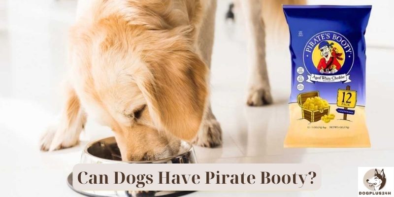 Can Dogs Have Pirate Booty