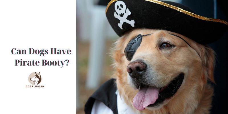 Can Dogs Have Pirate Booty