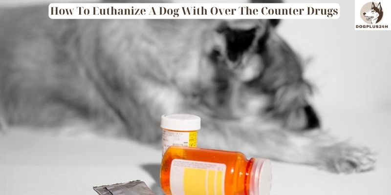 How To Euthanize A Dog With Over The Counter Drugs