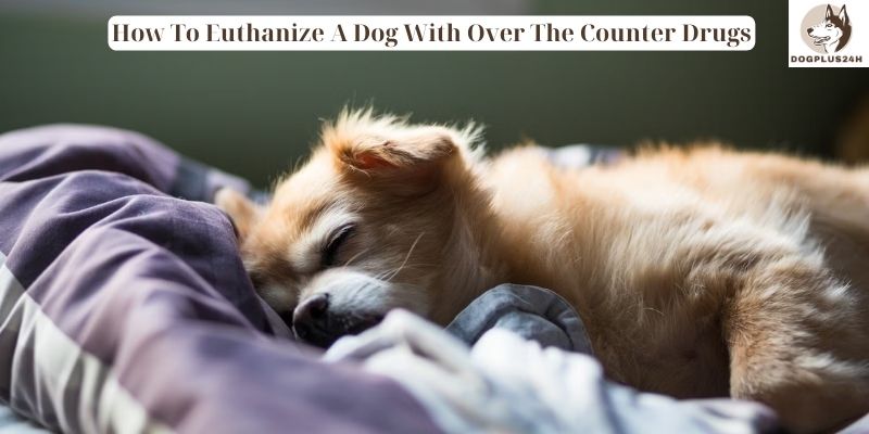 How To Euthanize A Dog With Over The Counter Drugs