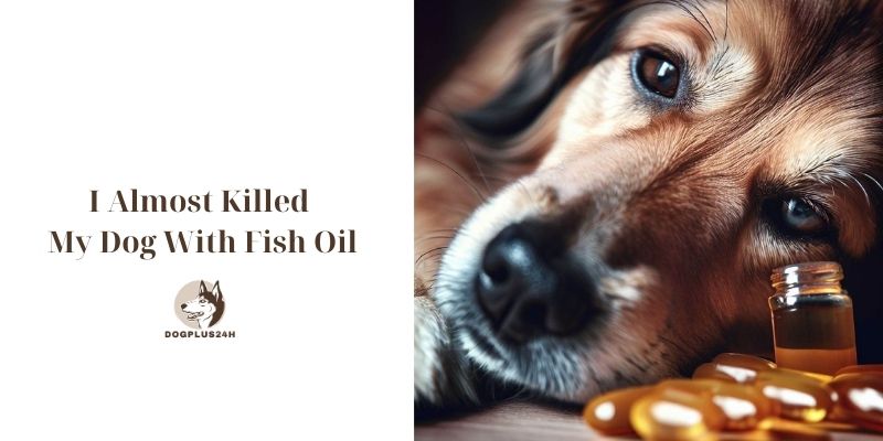 I Almost Killed My Dog With Fish Oil 