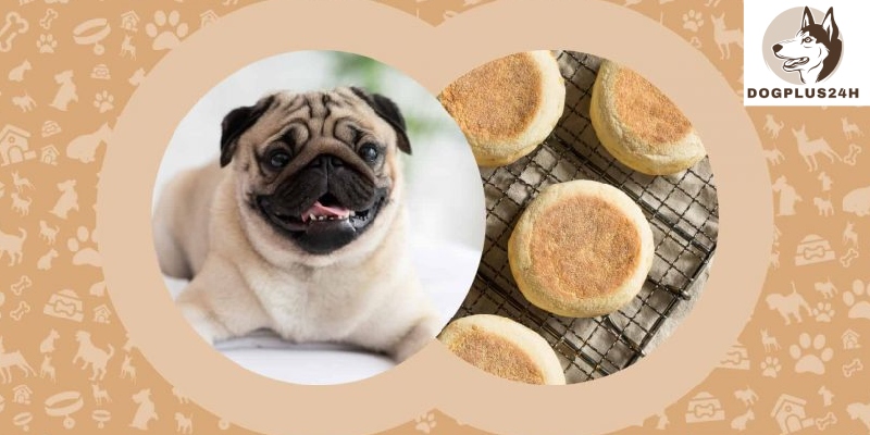 Can dogs eat English muffins?