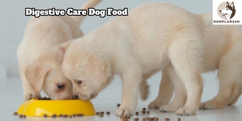 The main ingredients in digestive care dog food