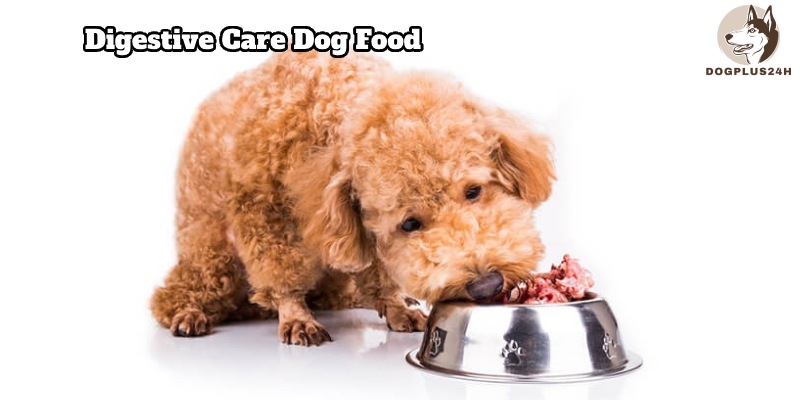 Benefits of digestive care dog food